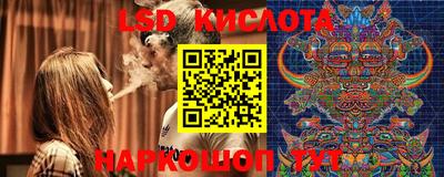 твердый Будённовск