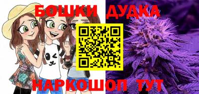 индика Бузулук