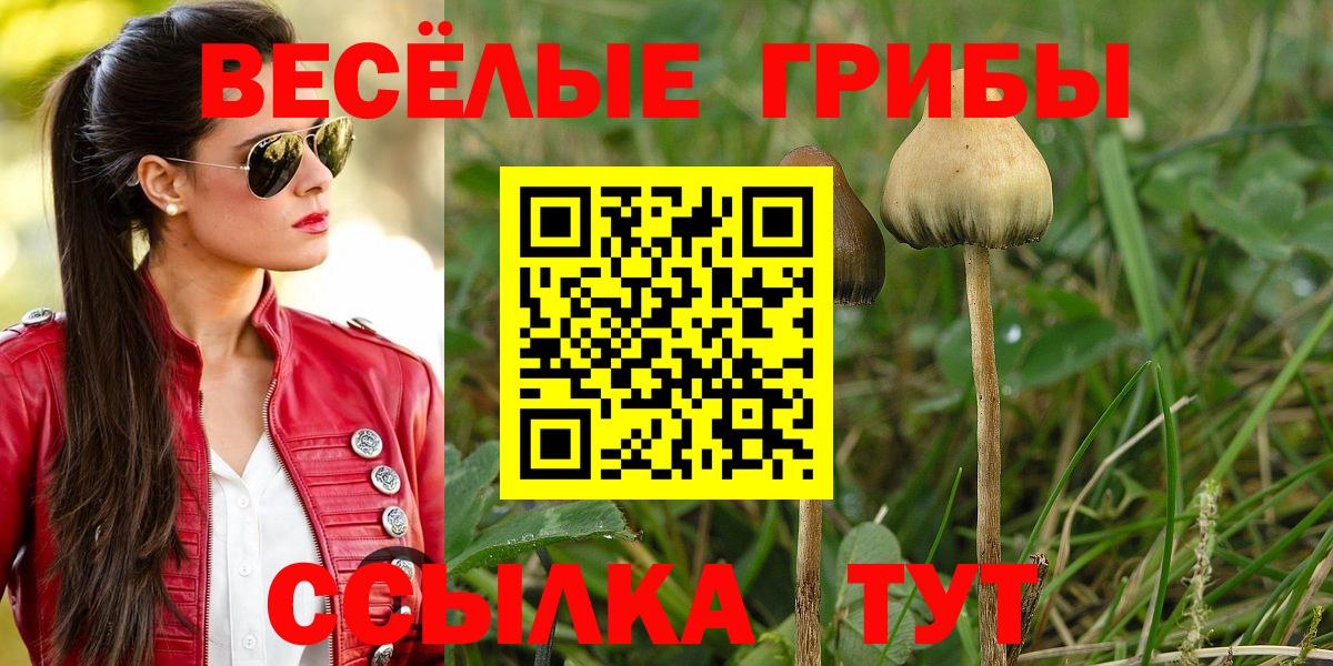 Псилоцибиновые грибы прущие грибы Пушкино